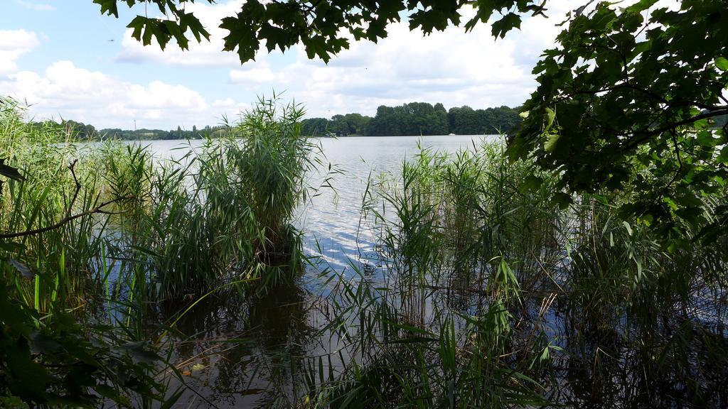 Ferienhaus Natura Neuruppin Room photo