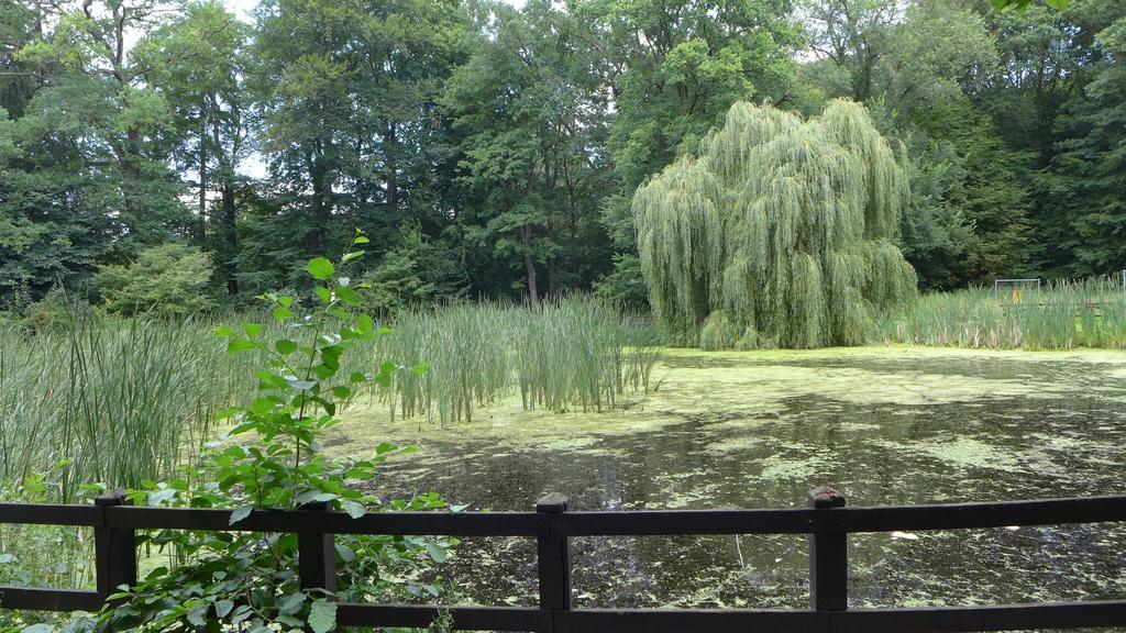 Ferienhaus Natura Neuruppin Room photo